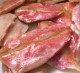Anterior