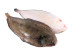 Anterior