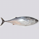 Anterior