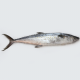 Anterior